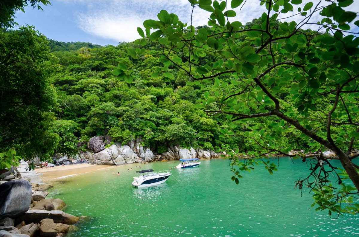 ViajerosV's tweet photo. Para llegar hasta #PlayaColomitos, al sur de @puertovallarta, puedes abordar una lancha en #BocaDeTomatlán o elegir la ruta divertida, por tierra.
Esta caminata de 650 metros te permitirá ir bordeando la playa y luego subir por una zona de acantilados selváticos con hermosas... https://t.co/NlESZ3qPLn