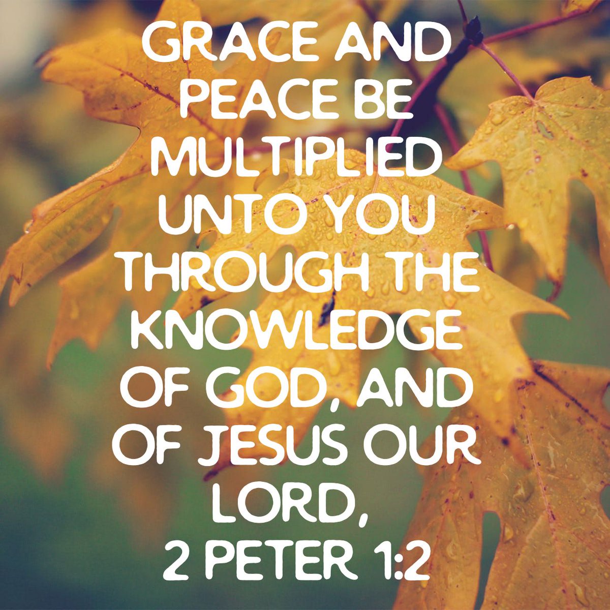 zackwangi's tweet photo. #GraceAndFavour 
#NewMonth https://t.co/Wu0Jwt6NxX