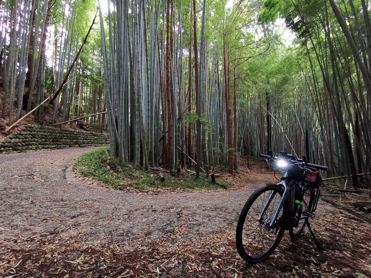 keinn883's tweet photo. いっぷく♡
#rxe+
#ebike https://t.co/n3uUT8oX5u
