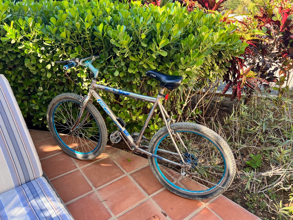 biketoeverythng's tweet photo. Bicycles were hard to come by on the coast of Nicaragua. I rented this bicycle from a local, and it was barely in working shape. The seatpost was clamped on to one position and brakes barely worked, but it had a cool paint job!
#bikerental #bluebike #seatpost #brakes #nicaragua https://t.co/6BZZp10is8