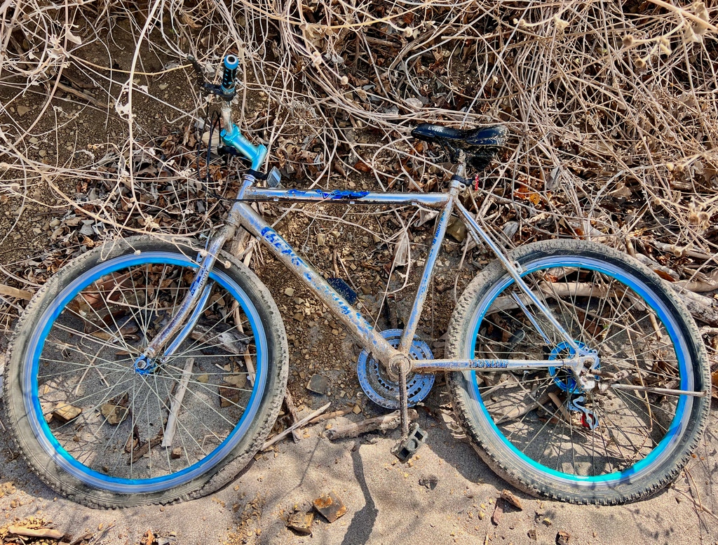 biketoeverythng's tweet photo. Bicycles were hard to come by on the coast of Nicaragua. I rented this bicycle from a local, and it was barely in working shape. The seatpost was clamped on to one position and brakes barely worked, but it had a cool paint job!
#bikerental #bluebike #seatpost #brakes #nicaragua https://t.co/6BZZp10is8