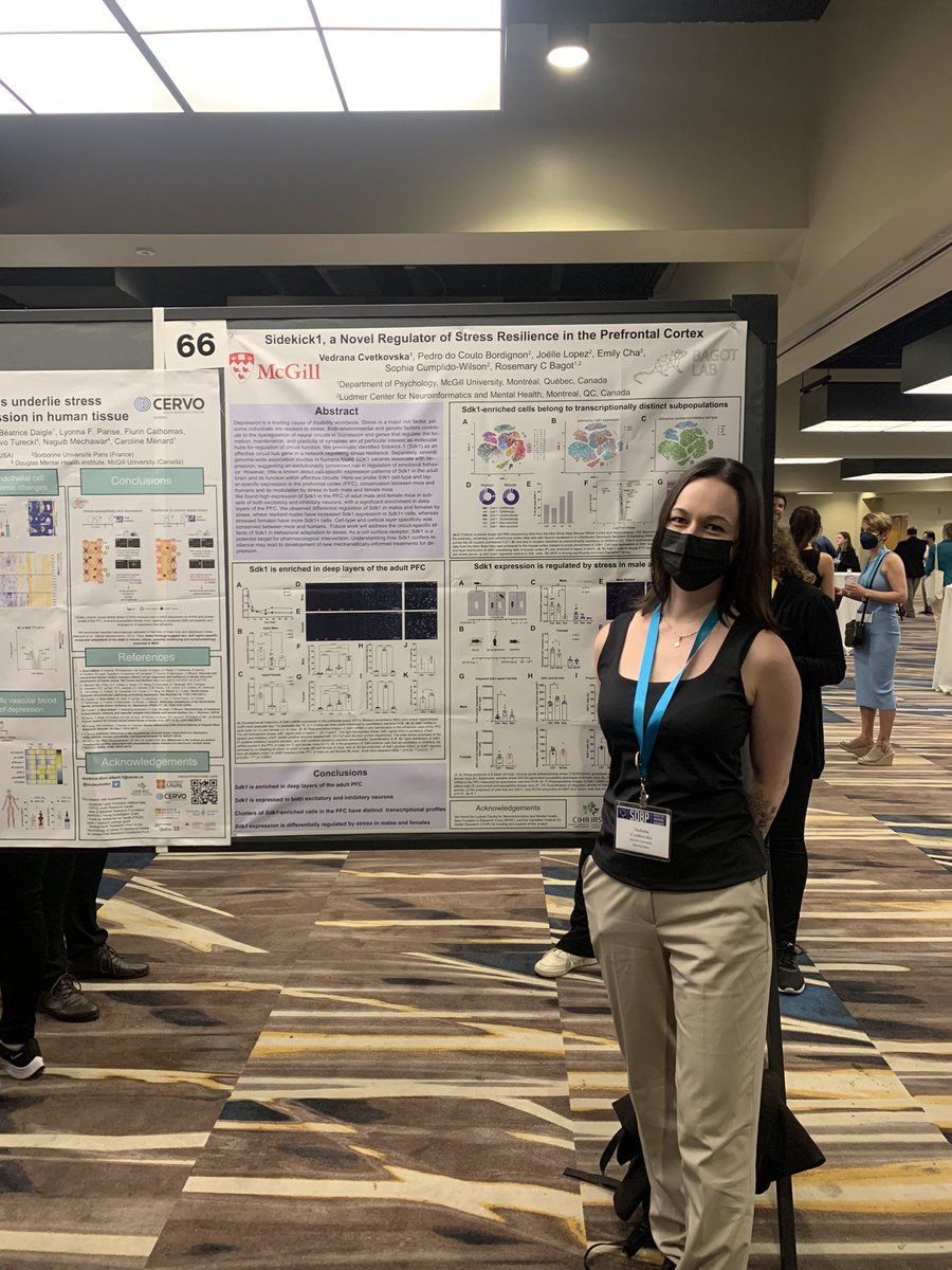 Don’t miss out on your chance to see Bagot Lab postdoc, twitterless Vedrana, present exciting new work about mechanisms of resilience in the PFC! #SOBP2022