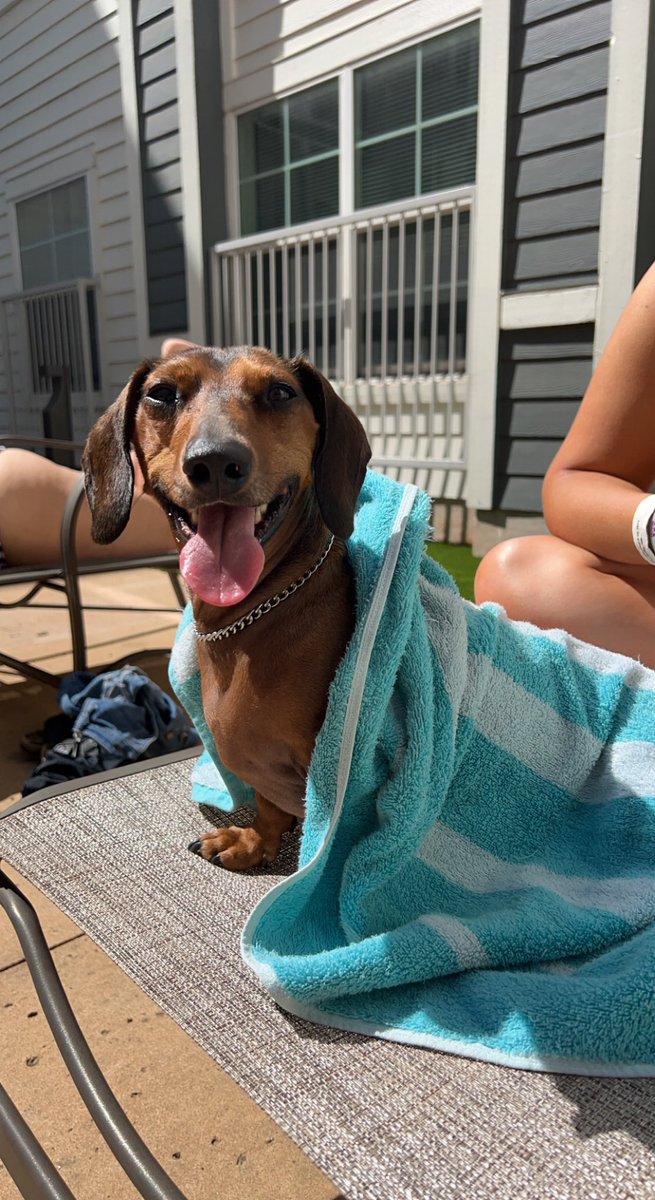 Sun’s out, tongues out☀️