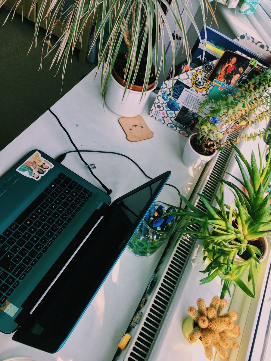 hi #langtwt and #studytwt! i'm ashley and i'm from the united states!

fluent: 🇺🇸🇨🇴
studying mostly: 🇵🇱🇺🇦
also studying: 🇨🇿🇧🇾🇷🇺🇮🇸

let's be friends. don't hesitate to dm me :) i don't bite. you can also add my discord!

rt to help me find more mutuals!