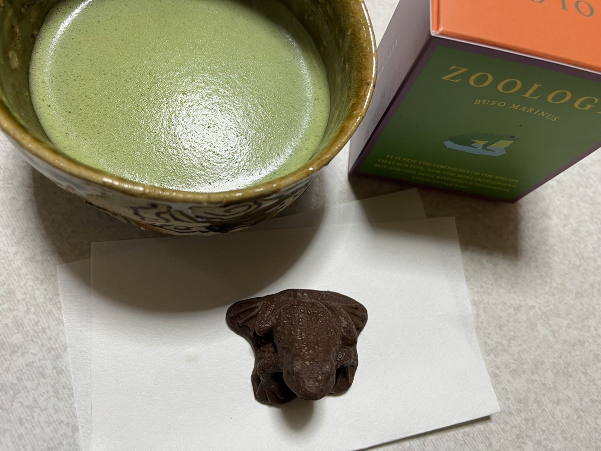 chato95577026's tweet photo. #茶道 #抹茶
#カエル #zoolozy
「ヒキガエル」
GW3日目
今日は茶道のお稽古へ
今日から風炉ですが、
来週のお茶会の為に2週間前から風炉練習中 https://t.co/iVZo9KpR9v