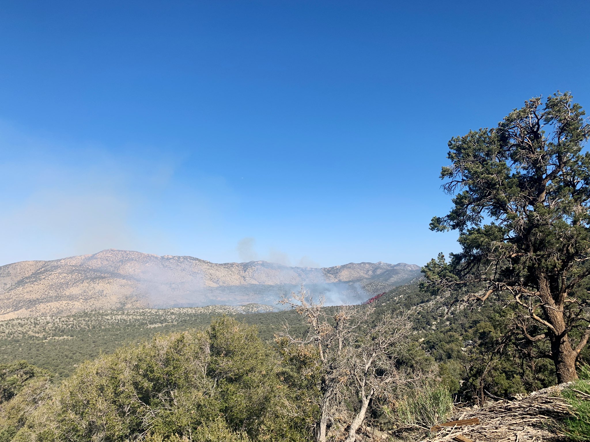 San Bernardino National Forest on Twitter "Latest photo as seen from