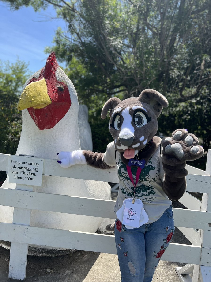 MackAttack158's tweet photo. Had a great time at #Lumacon It was nice meeting other furries in the area! https://t.co/a30xujYnxP
