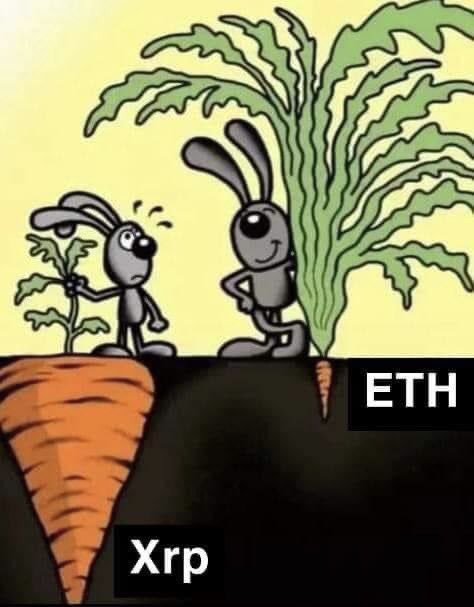 CryptoBull2020's tweet photo. #XRP https://t.co/2TQKIfH8kR