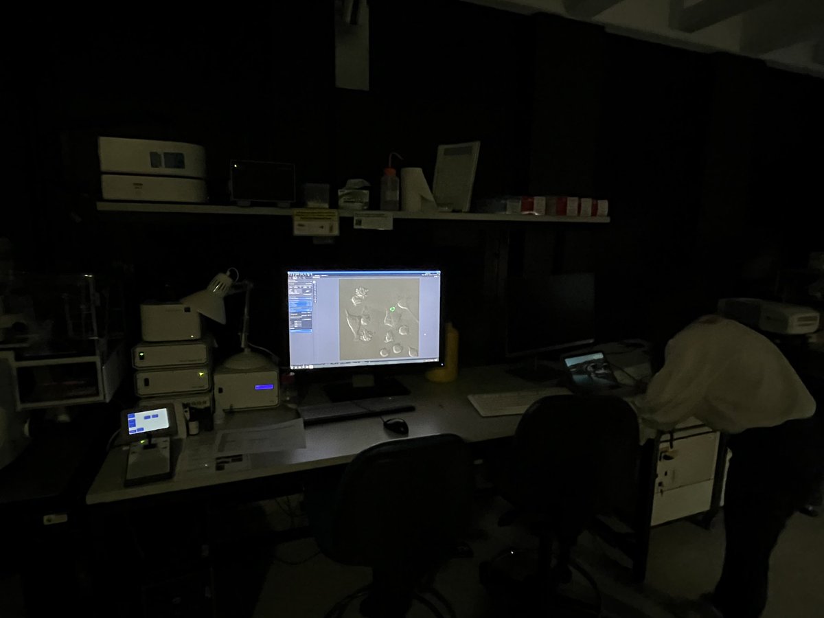 GRAS Lab tweet media