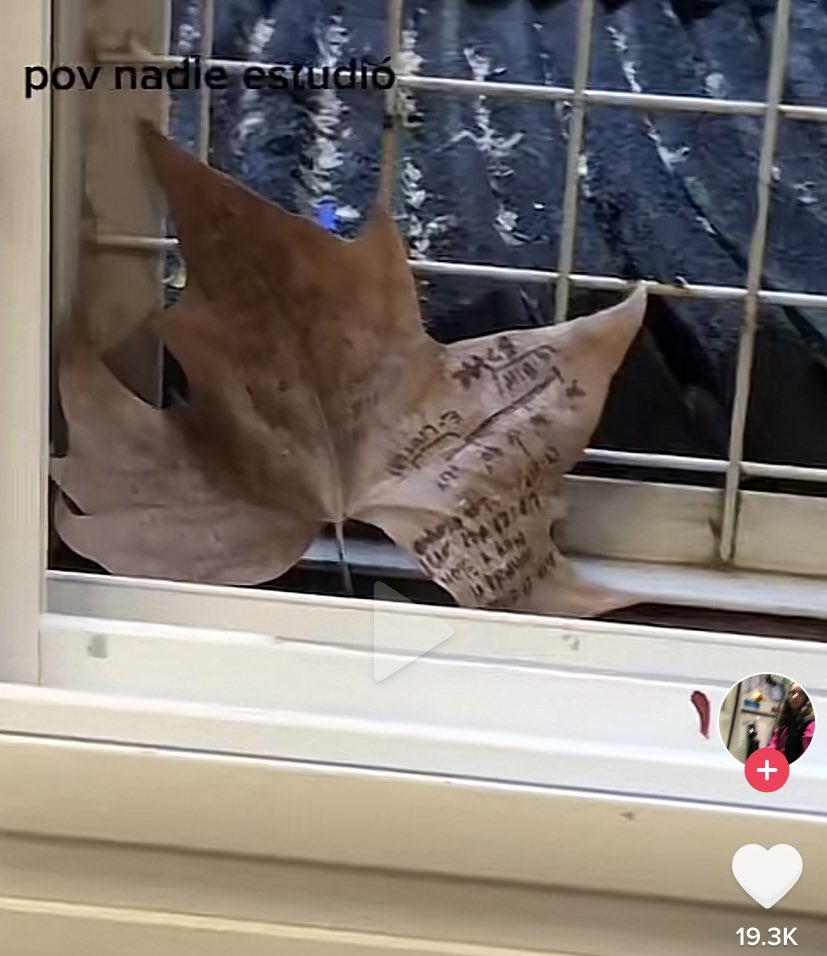 fefoalegre's tweet image. creo que acabo de ver una de las maneras más originales de copiar