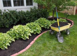 ISUEXTWestPott's tweet photo. Spring Plant Sale hosted by your West Pott. Master Gardeners

Saturday, May 7, 2022 from 8 a.m. - 11 a.m.
at 4-H Building at Westfair Fairgrounds,  22984 US-6, Council Bluffs, Iowa. https://t.co/3Lqf1j3hCL