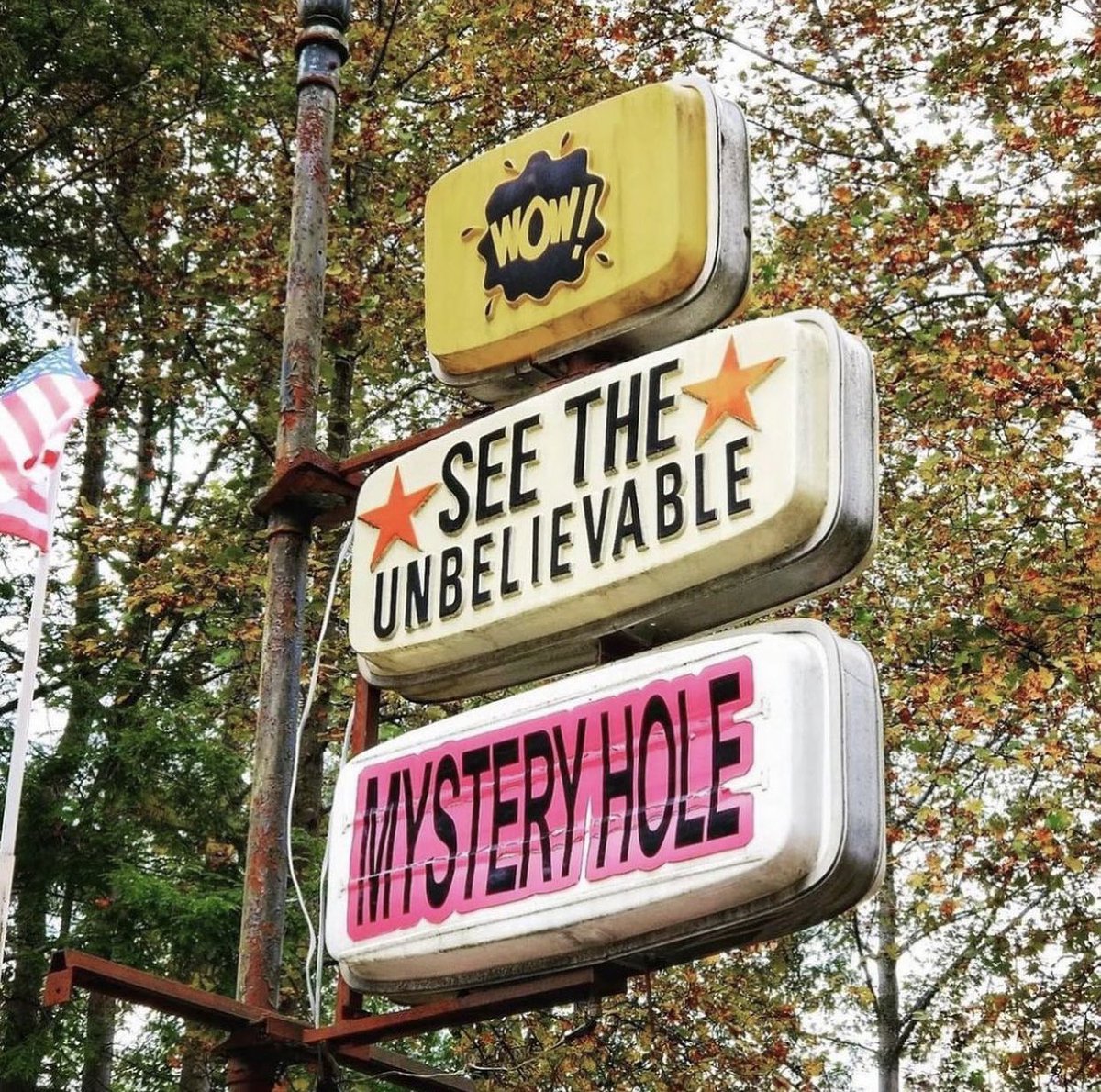 trans guy who only uses this image to flirt