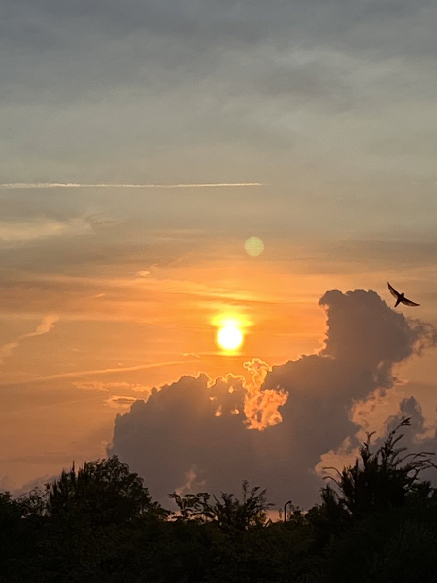 BJL60's tweet photo. This is a beautiful sunset! #JasperAL #Saturdayevening https://t.co/MJdO7u8Pt3
