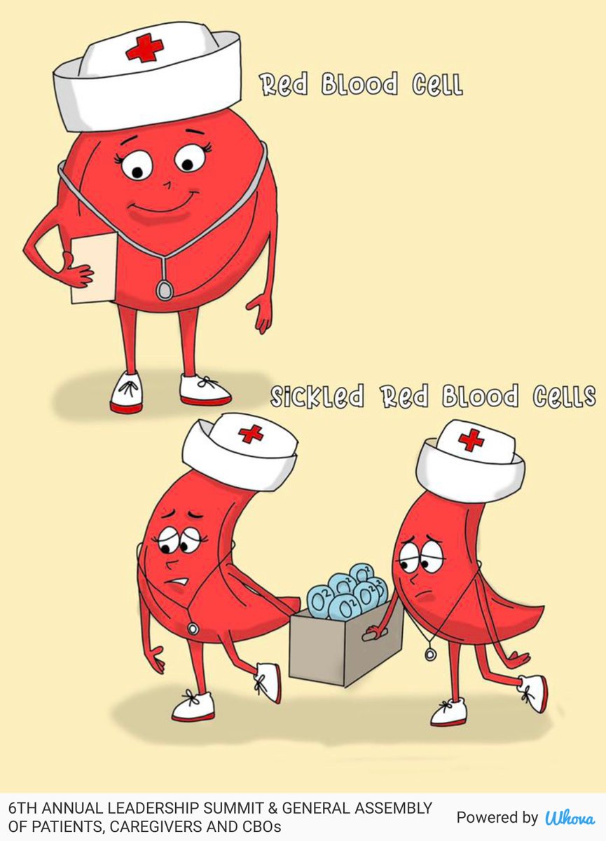 Cleverlychangin's tweet photo. I’m thinking about changing this illustration so the cells look happy. What do you think would be best: leave it/change their expressions? #SickleCellSummit #SickleCellSummit2022 #LeadershipSummit2022 #SickleCellConsortium2022 via Whova event app https://t.co/qib760Fx8T https://t.co/eeAqDNpT55