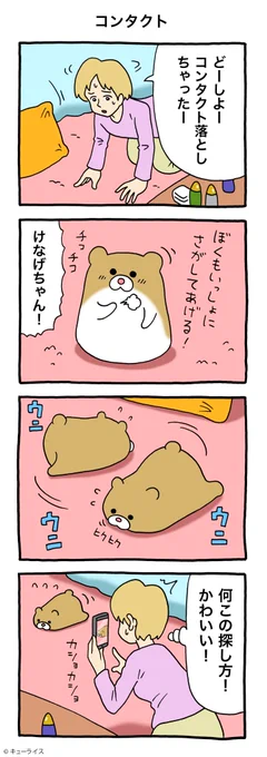 4コマ漫画けなげちゃん「コンタクト」けなげちゃん #キューライス 