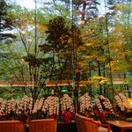 ツイートに含まれる画像