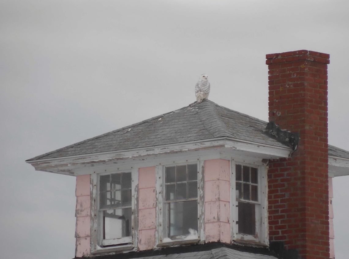 plisder's tweet image. I had to dig this out of the archive for someone so I may as well do one last #AprilTextureChallenge. It’s been great!