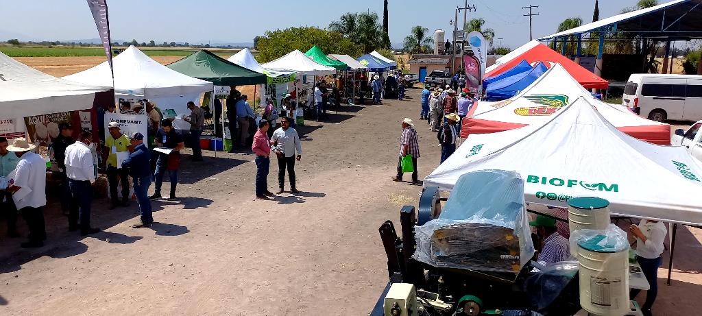 Guanajuato continua liderando en innovación y productividad en la agricultura gracias a la vision del Lic <a href="/diegosinhue/">Diego Sinhue Rodríguez Vallejo</a> del @gobiernogto y del Ing <a href="/Paulo_Banuelos/">Paulo Bañuelos Rosales</a> de @SDAyR_GTO  a traves de <a href="/MasAgroGto/">MasAgro Guanajuato</a> estrategias para hacer frente al alza de insumos <a href="/PP_BAEZ/">Pepe Báez</a> <a href="/joseasisucede/">José Meza Tapia</a>