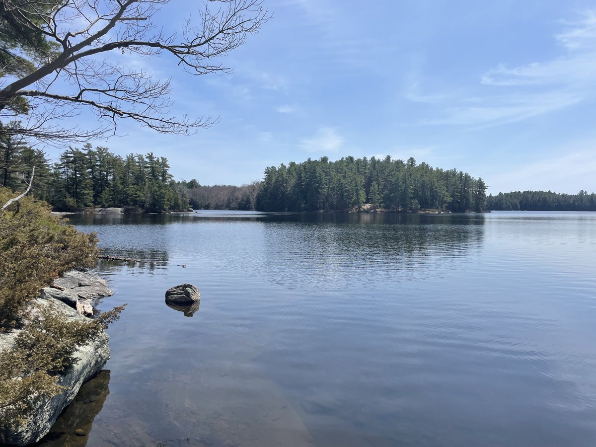 April Towns tweet media