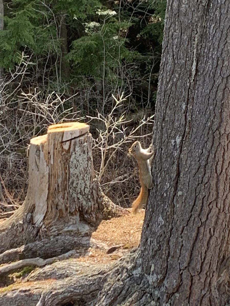 April Towns tweet media