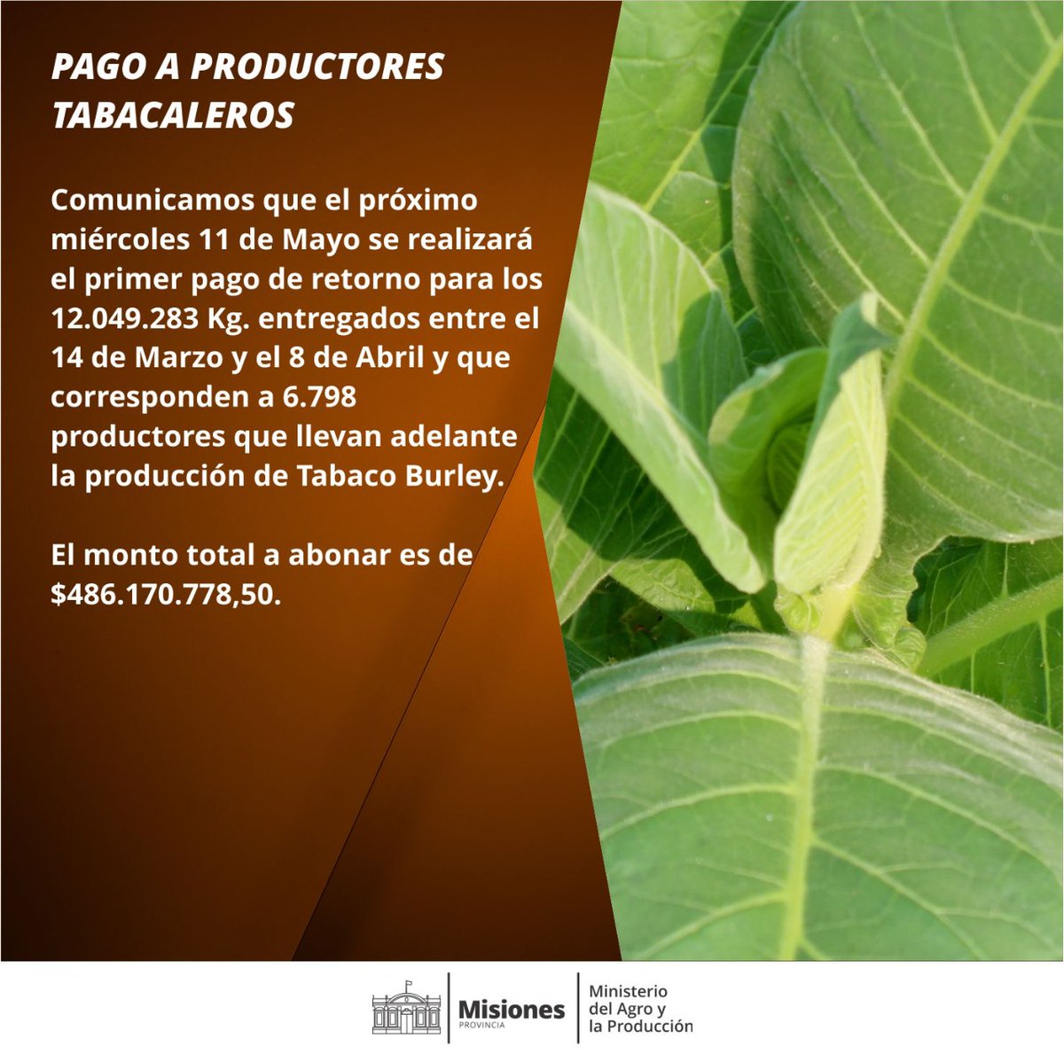 #LaChacra Anunciaron pago de retorno para productores tabacaleros por 486 millones de pesos economis.com.ar/anunciaron-pag…