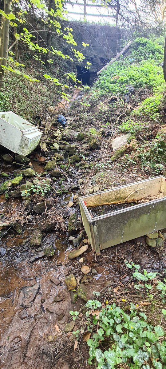 EarthdropTweets's tweet image. It'll take a couple months to get this place tidy and back to it's healthy, litter-free self.. but I think I'm up for it 🤞🏻😁 #wishmeluck #environment #cleanup