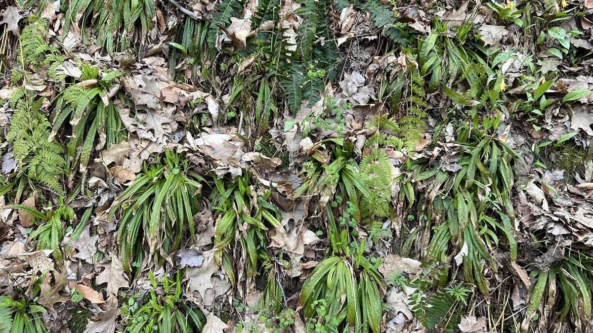 duositex's tweet image. #AprilTextureChallenge