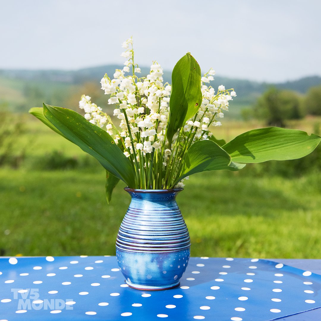 Ume Ume 2110 Twitter