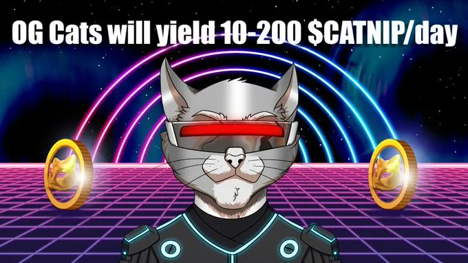 OGCatsNFT's tweet photo. Our Public Sale is live! Mint your #OGCats #NFT now while you still can!!

#NFTcommunity #NFTs #NFTart https://t.co/acJPsL7d2b