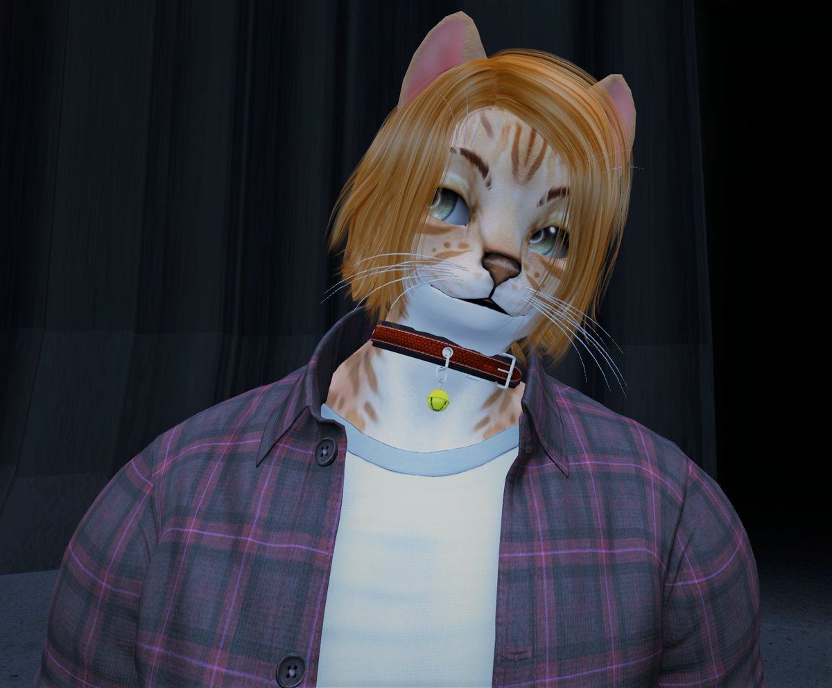 WhereMyMeowMix's tweet photo. Feeling cute, and do you know what I know? @Valiant_SL is in 40 minutes! #AnswerTheCallVW https://t.co/H02QqLLaw7