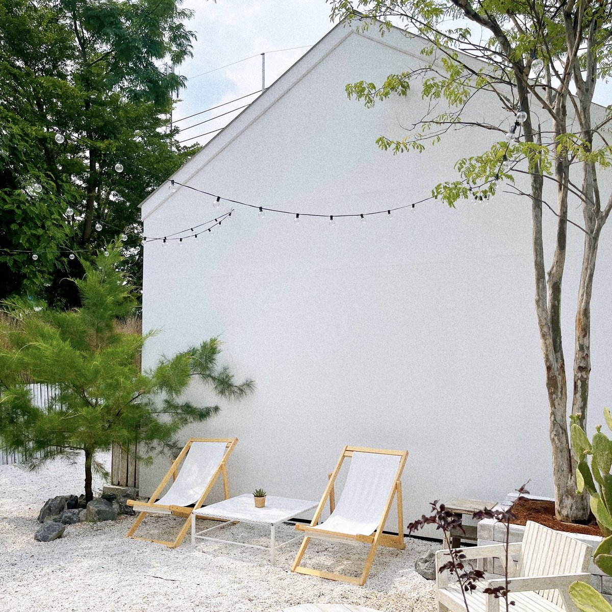 📍#ปักหมุดคาเฟ่ใกล้บ้าน Dinplant Coffee &amp; Bar ร้านเล็กๆน่ารักๆแถวนนทบุรี๊อยู่หน้าสวนกิมกวนฮง มีมุมให้ถ่ายรูปพอกรุบกริบ แต่น่ารัก ใครผ่านมาดูต้นไม้แถวซอยวัดพระเงิน แวะมาได้นะ เปิด อังคาร-อาทิตย์ เวลา 8.00น.- 19.00น. ร้านหยุดทุกวันจันทร์ 082-571-1934 #คาเฟ่ #รีวิวคาเฟ่ #cafe