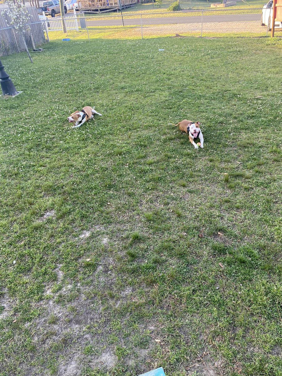 Park time is the best time. We were wore out today!!!