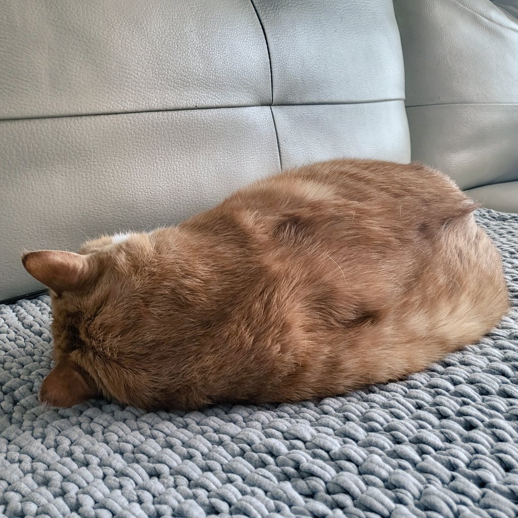 낮잠자는 덩어리