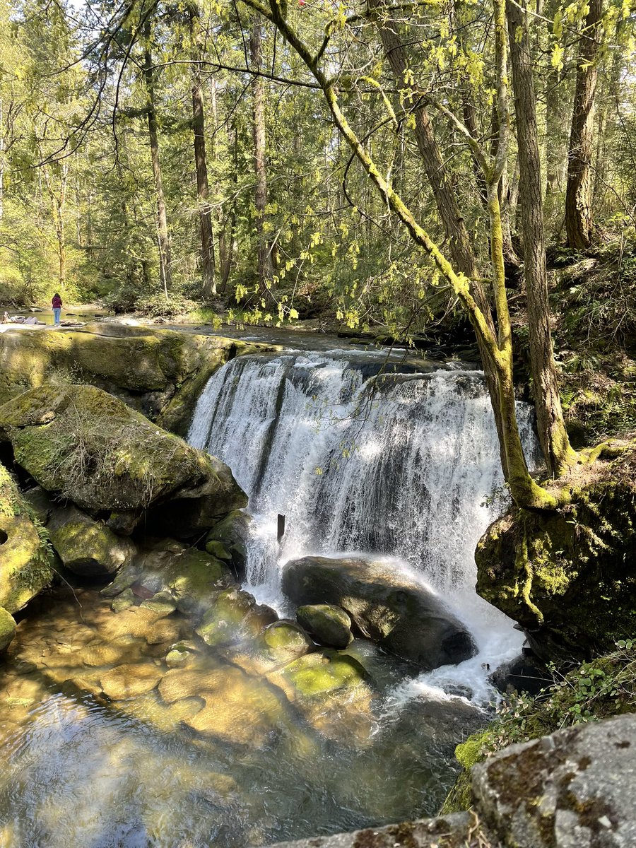 Whatcom falls Bellingham. Sometimes you need to surround yourself with nature to hear your inner voice.