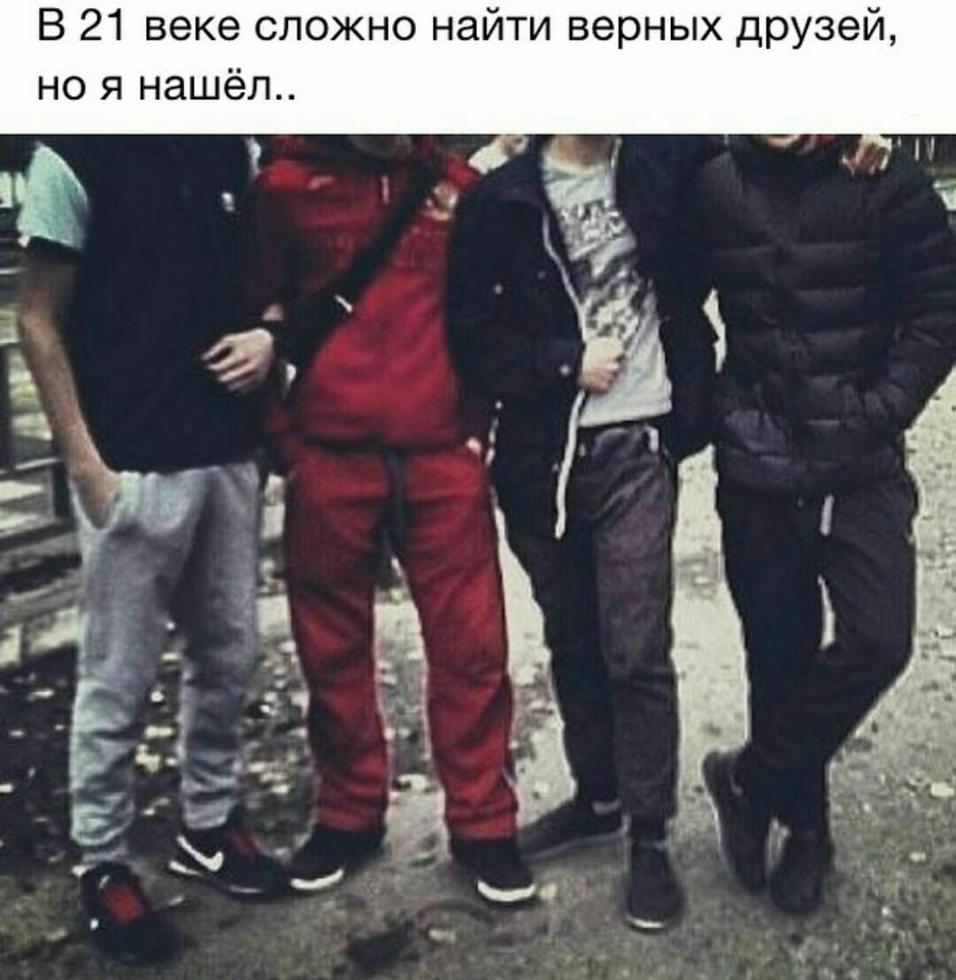 Друзья бродяги