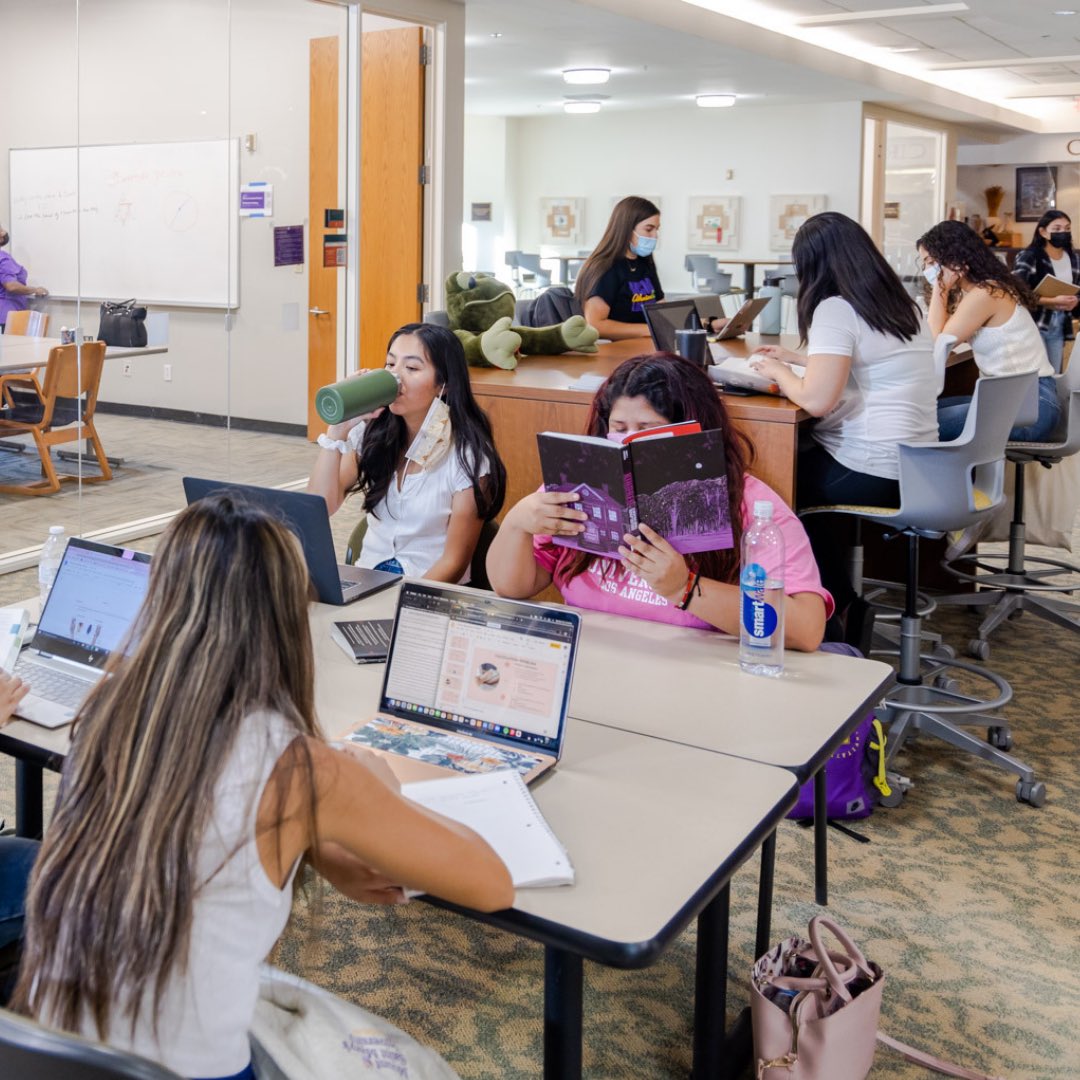 MSMU_LA's tweet photo. Everyone is studying hard for finals this weekend 💻📚📖📓🐸
You’ve got this, Athenians!
#Finals #MSMUnstoppable #StudyDays https://t.co/cPqSKAvxnq