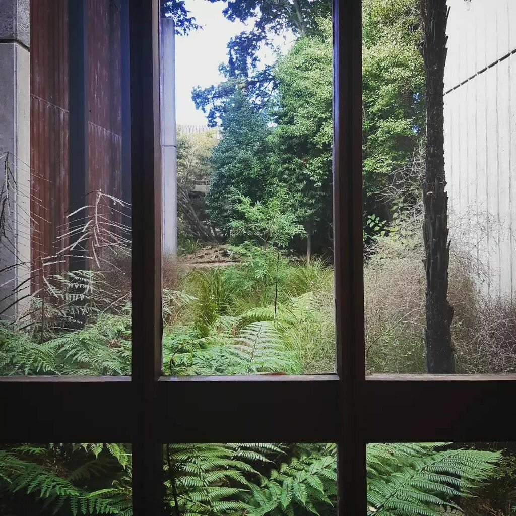 mcb4photos's tweet image. More from @openchch @ucnz forestry building open day at this fabulous 1970 brutalist building by Hall &amp;amp; Mackenzie. 

I feel like if you came here as a student,  the architecture world really make you feel like you were part of something. instagr.am/p/Cc_wxWBPDPS/