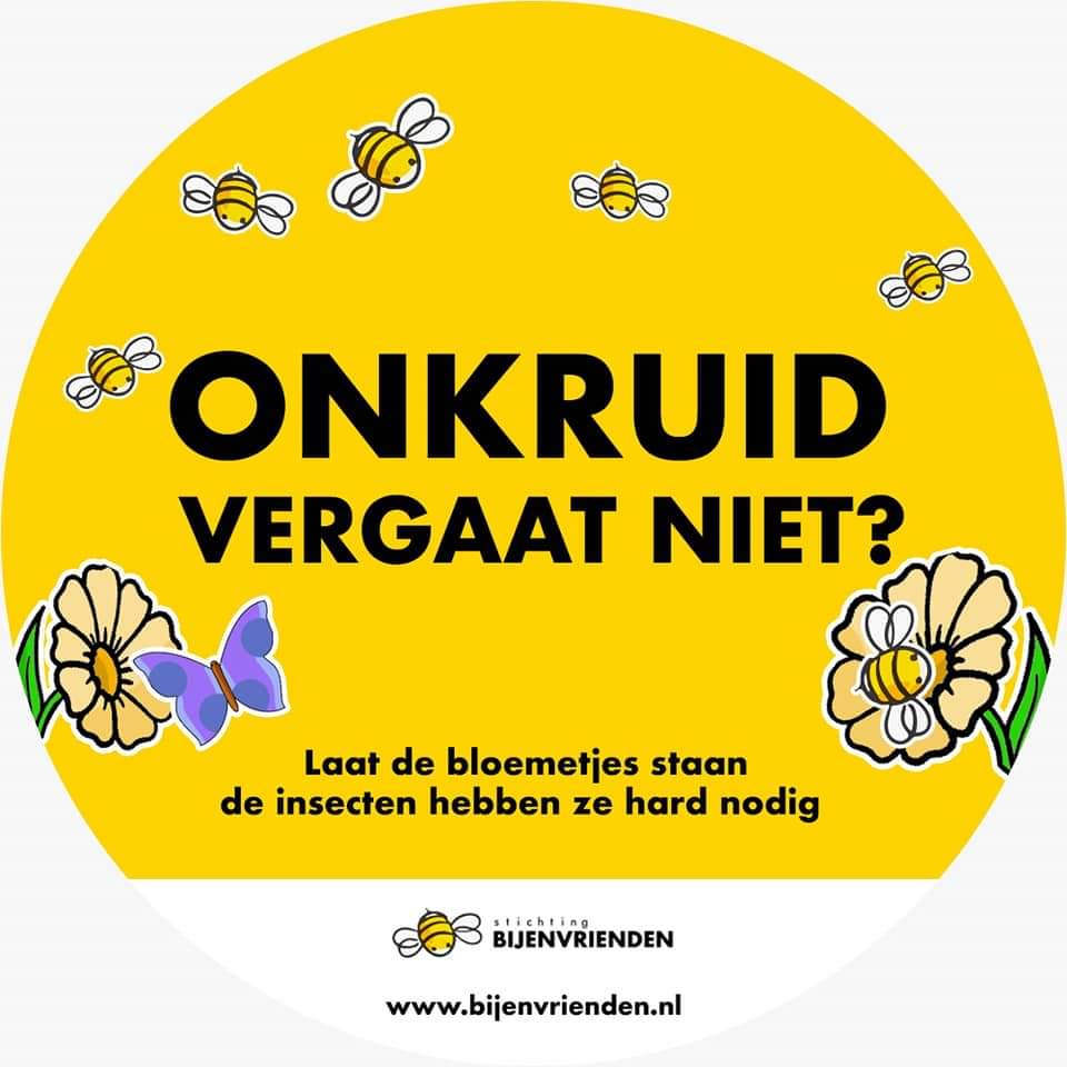 Beste provincies, gemeenten, particulieren etc. Met het wekelijks maaien van bermen helpt U de #wildebijen #vlinders #bijen #insecten niet! Mei = bloeimaand. #maaienmijnietgezien #maaimeiniet