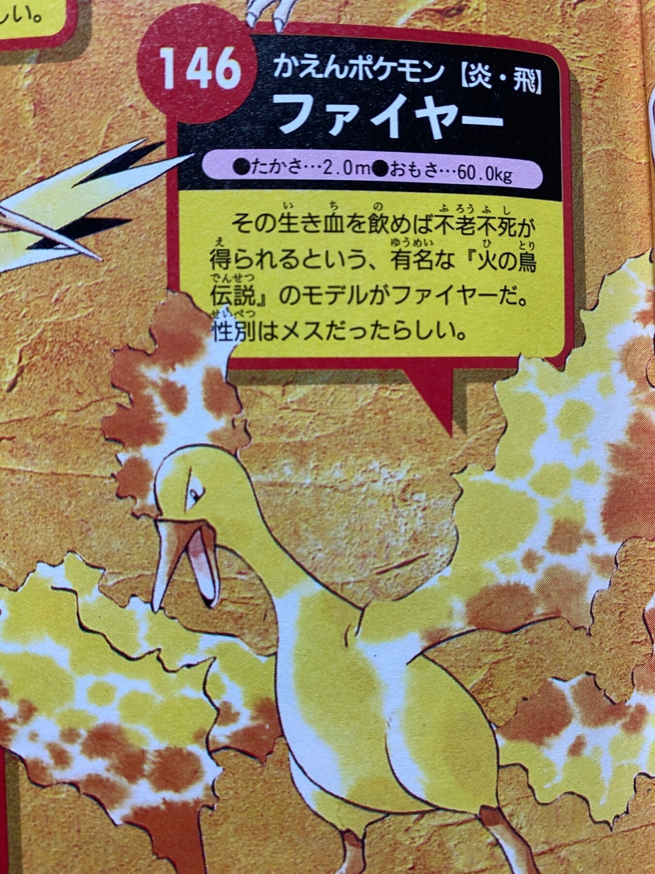 ゴーgo ゴー Cqac8fugc3cvpnz Twitter