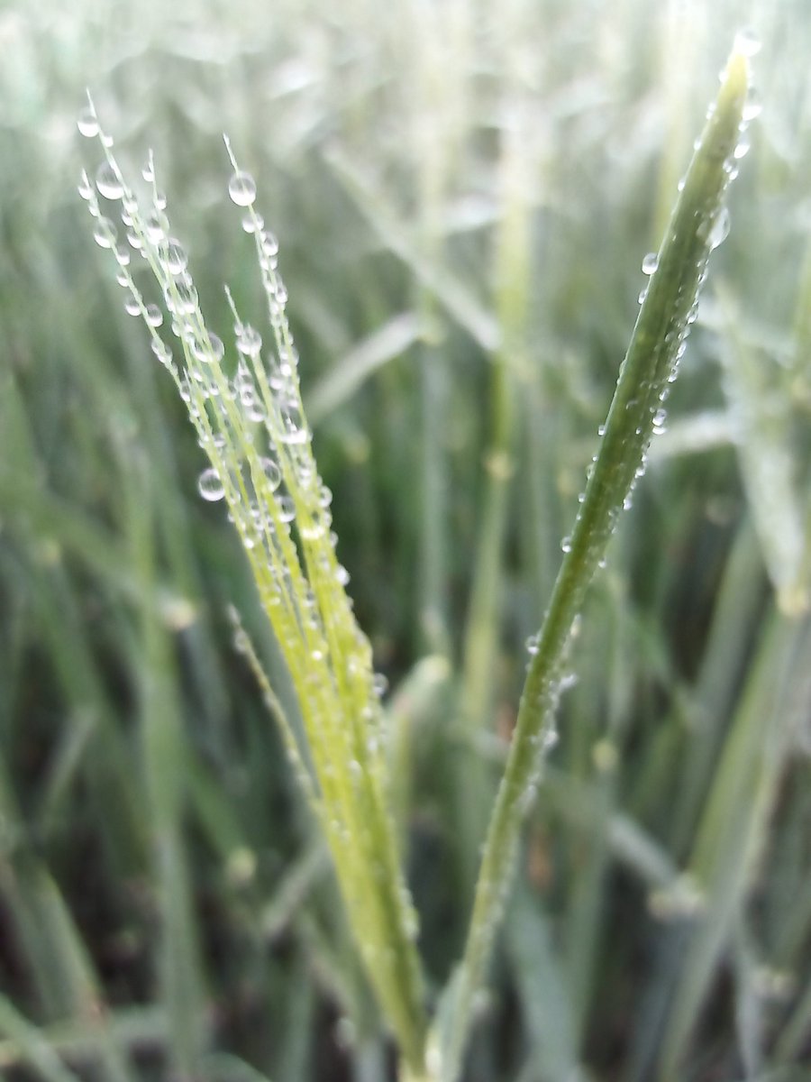 Duncan Wilson tweet media