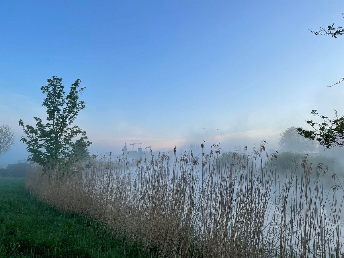 Dauwtrappen op de eerste zondag in mei. Door het Bossche Broek naar de Sint Jan. Tjilpende vogels, gakkende ganzen en wegspringende reeën. En bovenal de sluier over het water en het met de wind meeverende riet.
