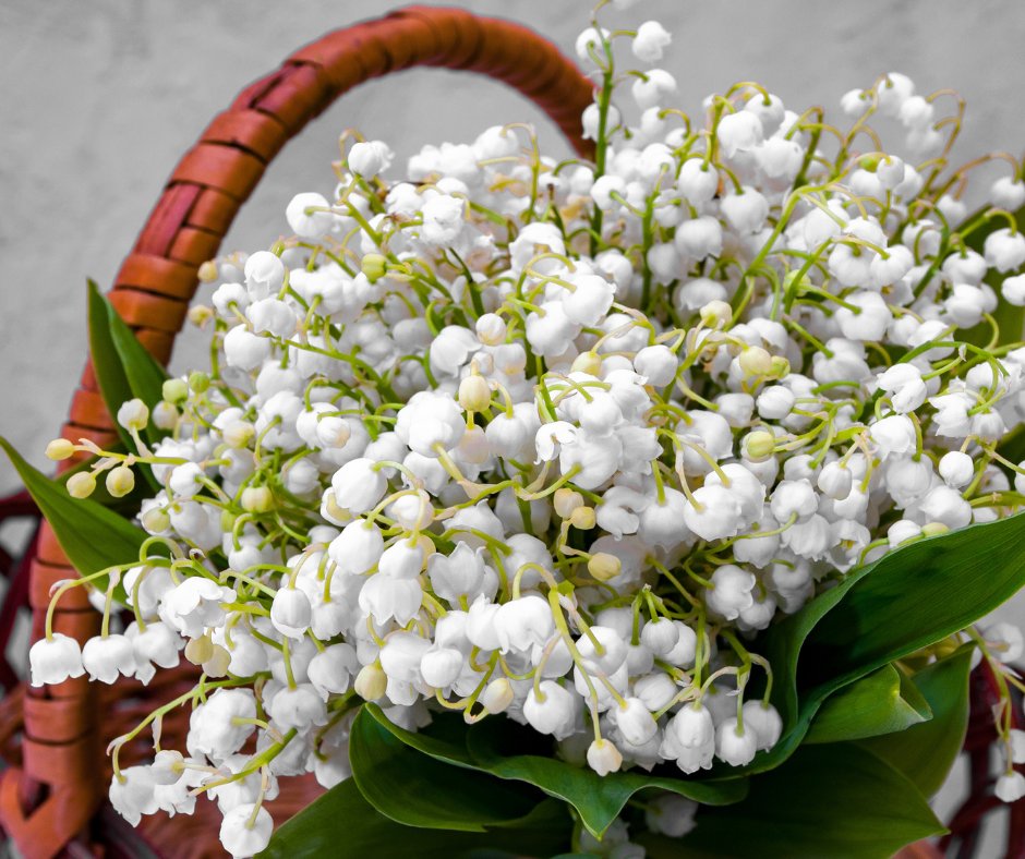 The Crafty Kit Company tweet media