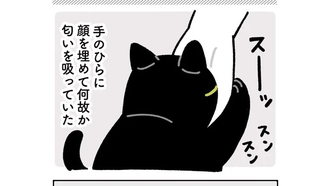今思い出したけど、飼い主もろんさんが寝てる隙にこっそり肉球の匂いを嗅いでいた時期があった (猫の肉球って独特の匂いがするよねって言われて気になって…) https://t.co/wfURmQHr9o 