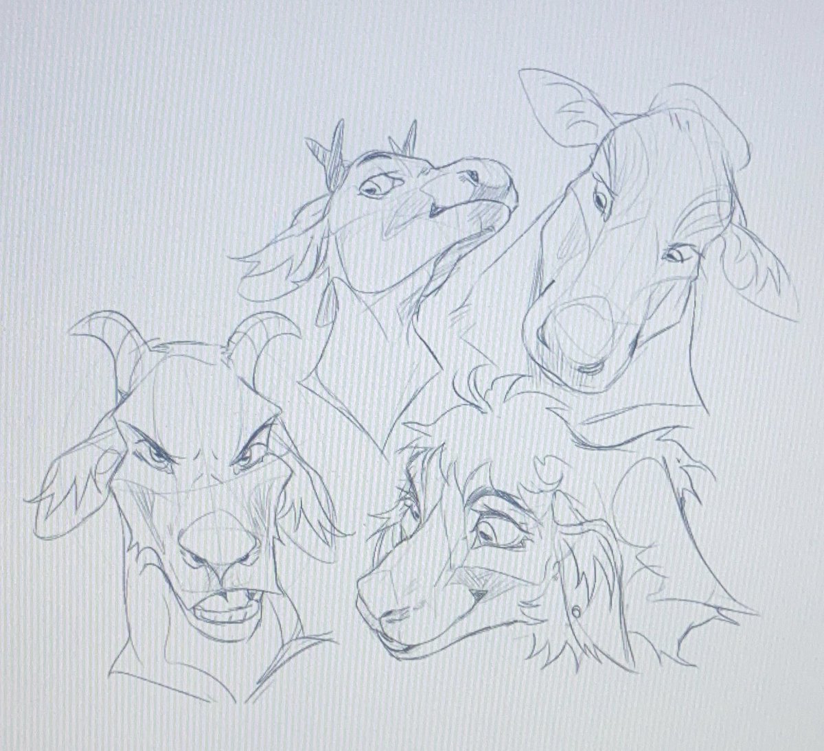 felis_seed's tweet photo. Making a universal facial structure tutorial! Here’s the ruminant example section B)

#furryfandom #furry #furryart #furryartist #furrytutorial https://t.co/7xWzY1Ua0a