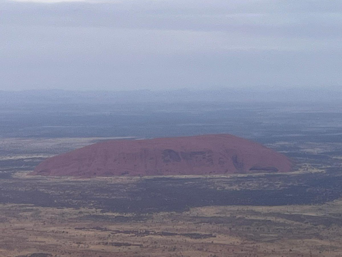 LoretoMission tweet media