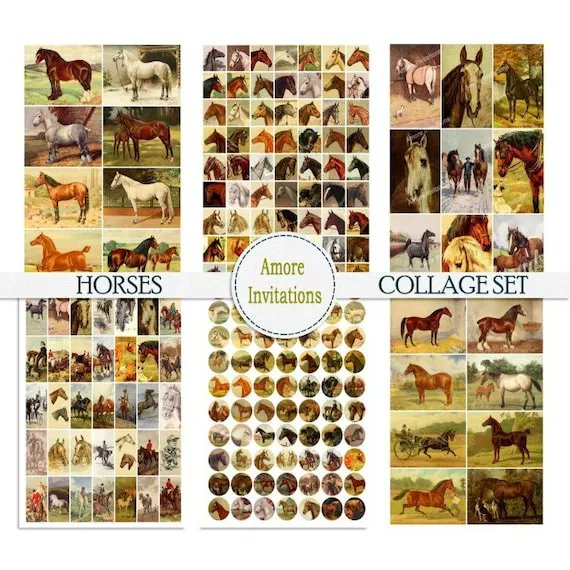 buff.ly/392SMsl
#etsy #commercialuse #junkjournal #etsylove #crafts #craft #digitalcollagesheets #etsyshop #etsyseller #etsyfinds #etsyuk #craftsupplies #etsystore #etsyusa #jewellerysupplies #jewelrysupplies #jewellery #jewelry #jewelrydesigner #jewelrydesign #horses