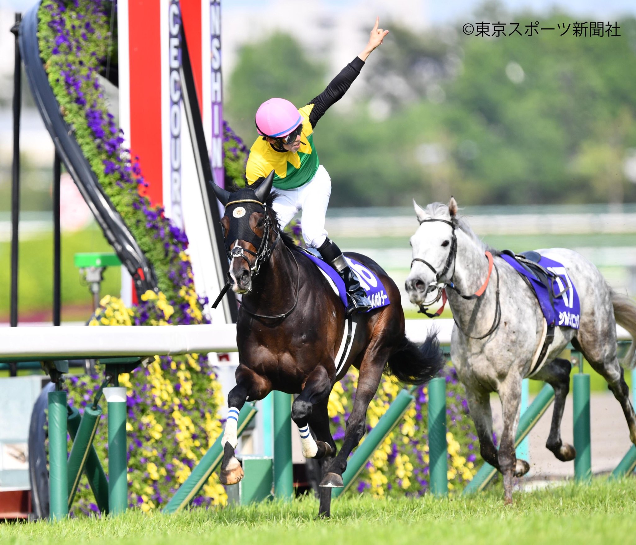 ホットセール JRA 競馬 天皇賞 春 キタサンブラック 非売品ポスター