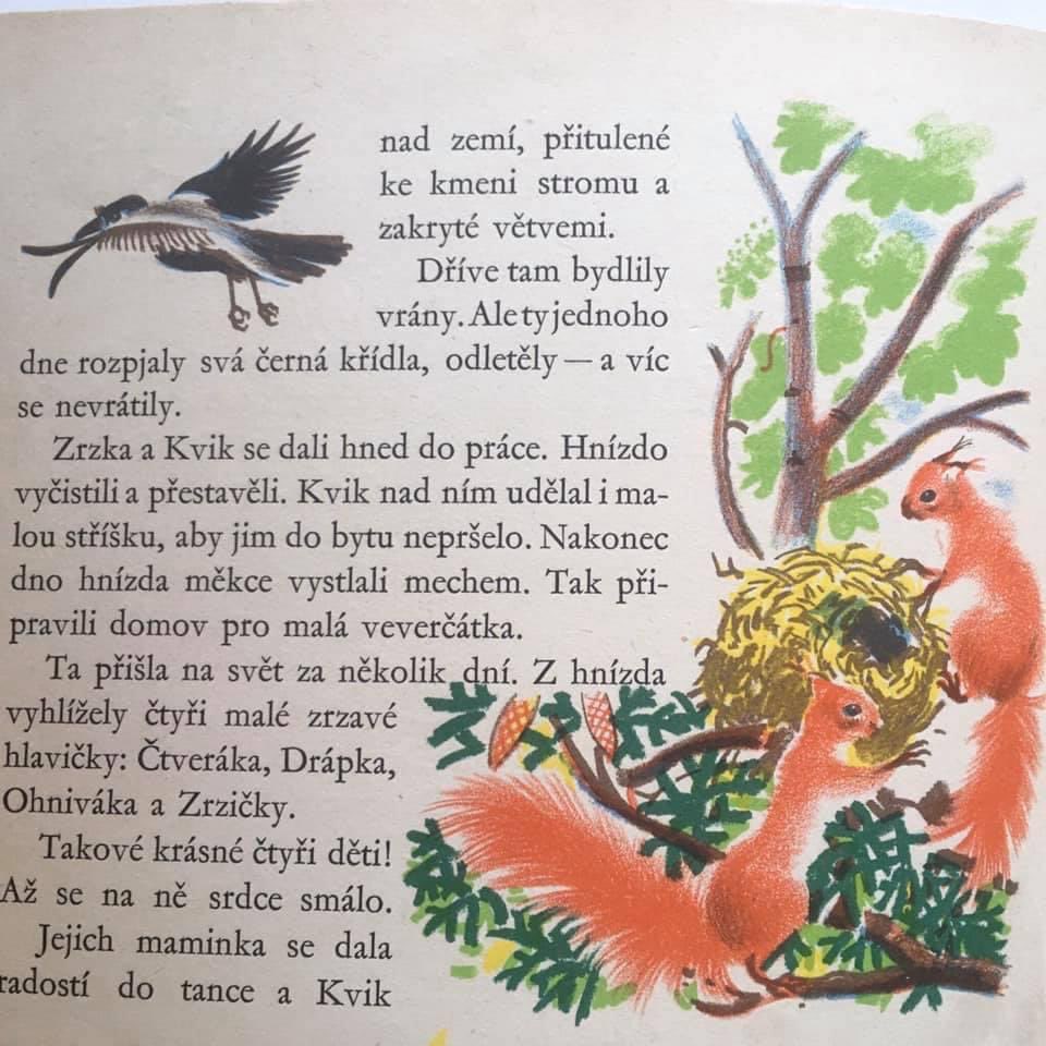 リスの世界 Norisu Nolife Twitter