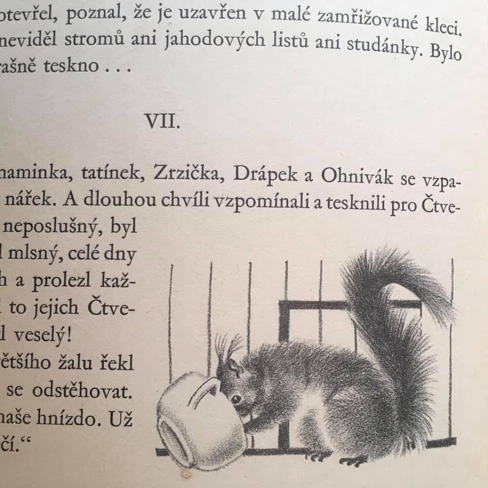 リスの世界 Norisu Nolife Twitter