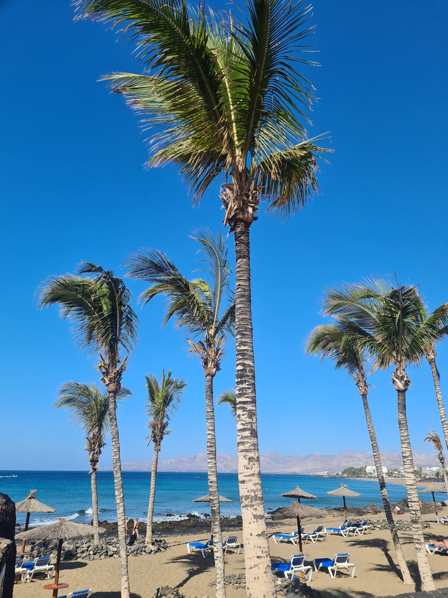 Michaela tweet media